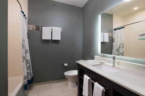 a bathroom with a sink and a toilet and a mirror at Residence Inn by Marriott Austin Southwest in Austin