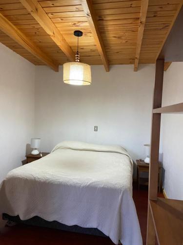 ein Schlafzimmer mit einem weißen Bett und einer Holzdecke in der Unterkunft Cabaña aquelarre in Vichuquén