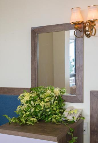 a bathroom mirror with a plant on a wooden shelf at Tasme Hotel in Da Lat