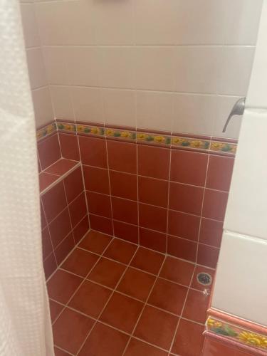 a bathroom with a shower with brown tile at The Victory Villa in Parrot Hall