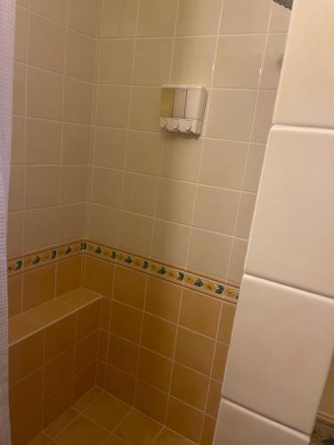 a bathroom with a tub and a shower at The Victory Villa in Parrot Hall