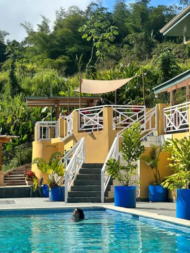 a person swimming in a swimming pool next to a house at The Victory Villa in Parrot Hall