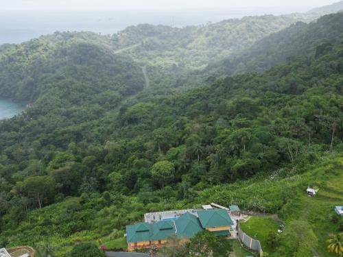 a house on the side of a hill with trees at The Victory Villa in Parrot Hall
