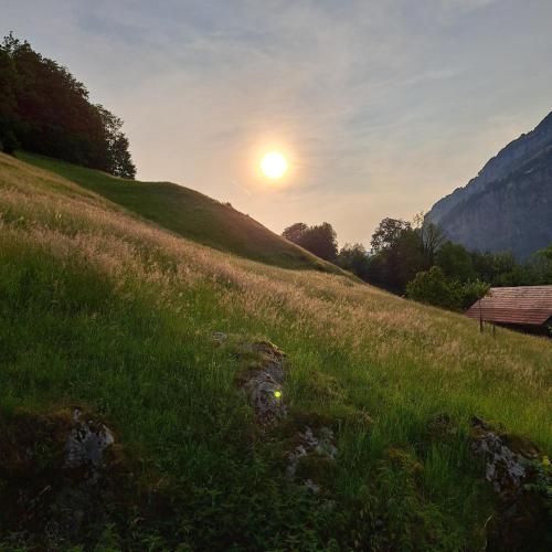 a sunset on a hill with a field of grass at Ferienwohnung Muota in Muotathal