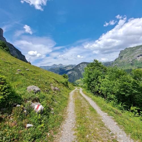 a dirt road on a hill with mountains in the background at Ferienwohnung Muota in Muotathal