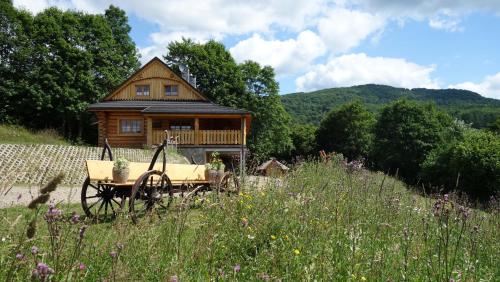 a wooden house with a cart in front of it at Bieszczadzkie Marzenie in Wetlina