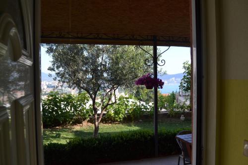 an open door with a view of a tree at Apartments Milosevic in Bar