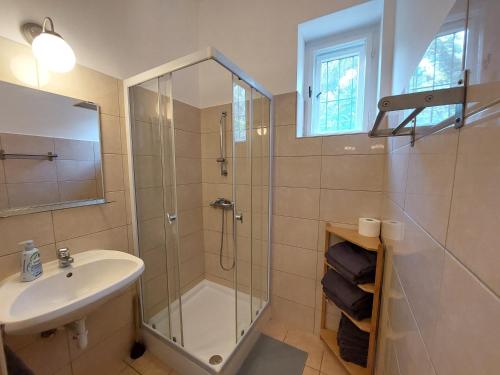 y baño con ducha acristalada y lavamanos. en Rozmaring apartman ház, en Csopak