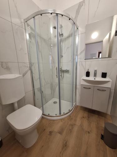 a bathroom with a shower and a toilet and a sink at Apartma Koper2 with parking in Koper