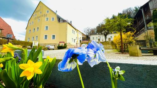 a group of blue flowers in front of a building at Apartments Erbgericht in Bad Schandau