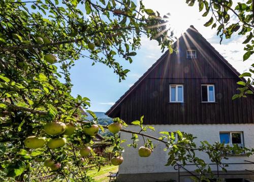 an apple tree in front of a barn at GartenFerienhaus "AnnaLuise" in Schönau im Schwarzwald