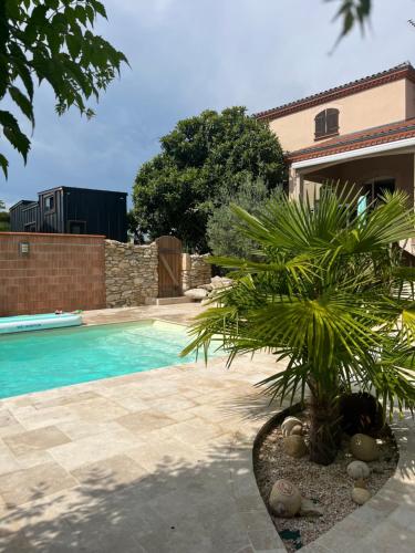 a palm tree sitting next to a swimming pool at Tiny House Piscine et Spa in Gaillac
