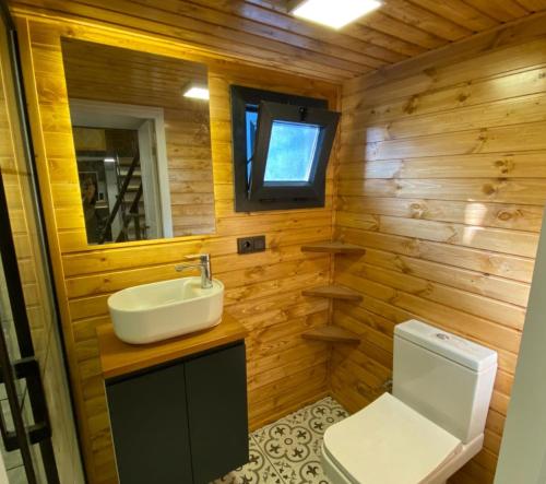 une salle de bain avec un lavabo et des toilettes dans l'établissement Tiny House Piscine et Spa, à Gaillac
