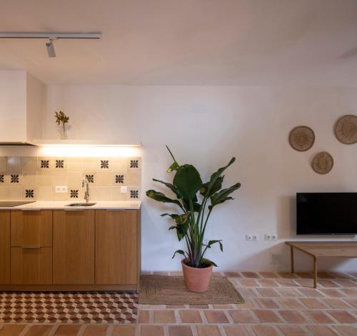 Carmen del Azahar by Florentia Homes