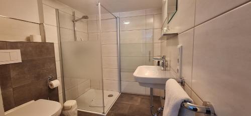 a bathroom with a toilet and a sink and a shower at Landhaus Gnacke in Schmallenberg