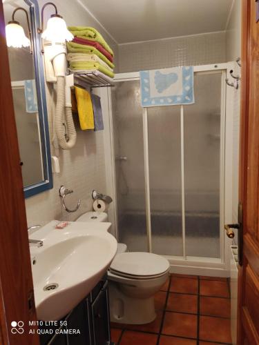 a bathroom with a shower and a toilet and a sink at Casa A Ruata in Torla