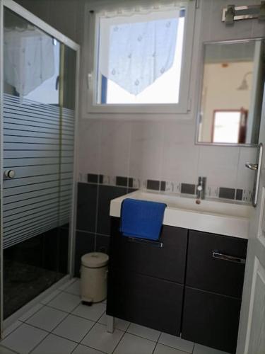 une salle de bain avec un lavabo, un miroir et une douche dans l'établissement Chalet La Mer Veille 1, à Gruissan