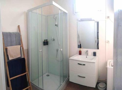ein Bad mit einer Glasdusche und einem Waschbecken in der Unterkunft Appartement Notre Dame in Montluçon