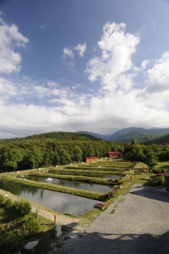 a view of a river with crops in a field at Complex Pastravaria Albota in Arpaşu de Sus