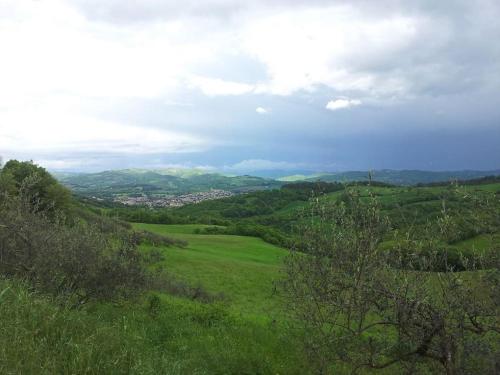a green hillside with a city in the distance at Villa Costa piccola with private pool in Umbria in Umbertide