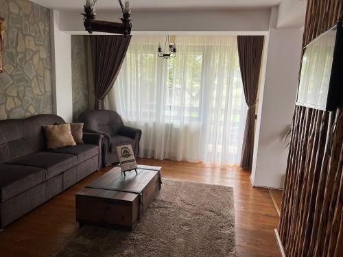 a living room with a couch and a coffee table at Casa Bradet in Întorsura Buzăului