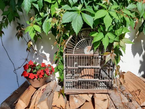 a bird cage sitting on top of a wooden table with flowers at Fischer`s Postresidenzen Ettal in Ettal