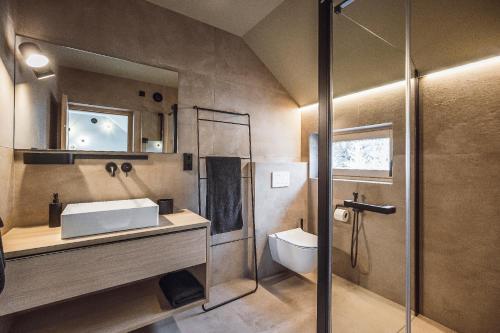 bagno con doccia, lavandino e servizi igienici di Rousa little guesthouse Cosy Sky a Rasun di Sopra