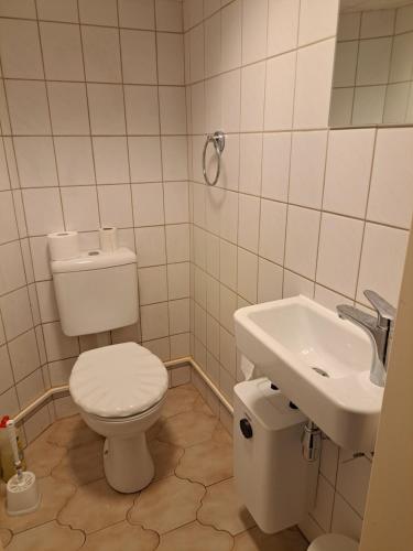 a bathroom with a toilet and a sink at Apartment Kastanienallee Rosenthal in Berlin