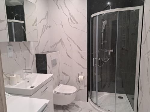 a bathroom with a shower and a toilet and a sink at Apartamenty Przystań Giżycko in Giżycko