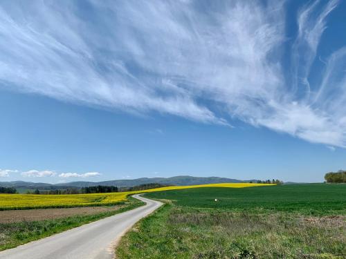 a road in the middle of a green field at Holiday Apartment Žabovřesky in Hluboká nad Vltavou