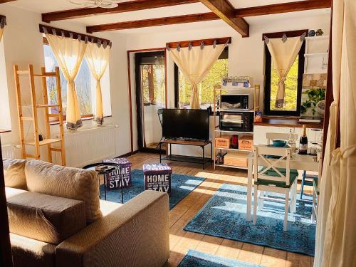 uma sala de estar com um sofá e uma televisão em Studio Mirage@Snow Residence (ski & forest) em Azuga