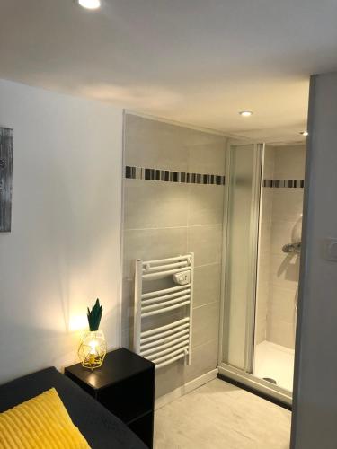 une chambre avec un lit et une salle de bain avec douche dans l'établissement Les Mouettes, à Les Sables-dʼOlonne