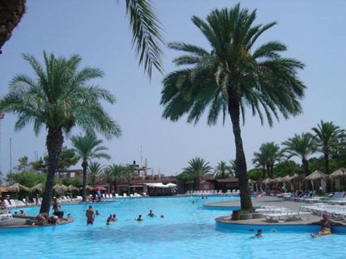 Personnes nageant dans une piscine bordée de palmiers dans l'établissement Portorosa, à Torre Forte