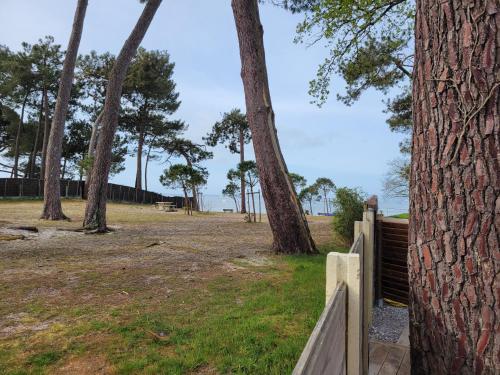 a wooden fence next to a field with trees at La Cabane de l'Estran au bord de mer in Lanton