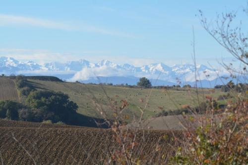 une vue sur un champ avec des montagnes en arrière-plan dans l'établissement Ferme Ariégeoise, gîte du lac, à Unzent