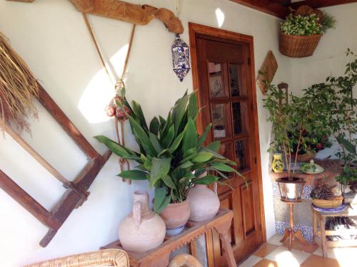 a room with vases and plants on a wall at Hotel Alcadima in Lanjarón