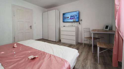 1 dormitorio con 1 cama, escritorio y TV en Villa Napsugár, en Balatonlelle