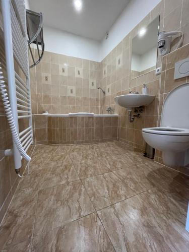 a bathroom with a sink and a toilet and a tub at Apartmány vila Týniště in Týniště nad Orlicí
