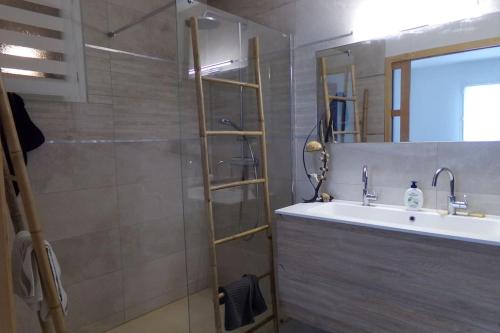 une salle de bain avec un lavabo, une douche et un miroir dans l'établissement Maison familiale cosy., à Saint-Bauzille-de-Montmel