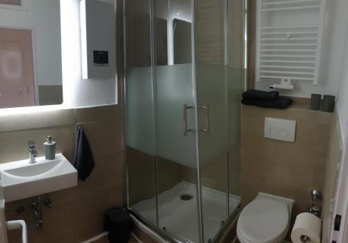 een badkamer met een douche, een toilet en een wastafel bij Studio Apartments in Ruhrgebiet in Mülheim an der Ruhr