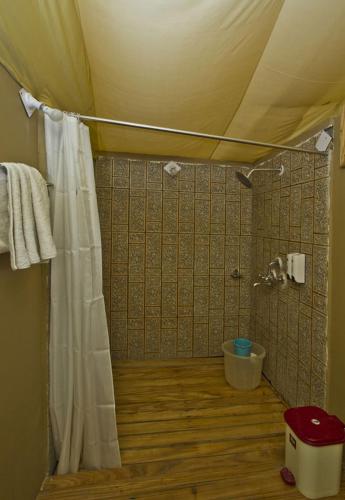 a shower with a white curtain in a bathroom at Pangong Retreat Camp in Spangmik