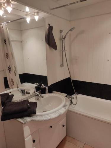 une salle de bain avec un lavabo, une baignoire et un miroir dans l'établissement Appartement Velleron-4 personnes, à Velleron