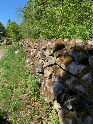 a stone wall next to a road at Großzuegiges Haus im Wald in Immeln