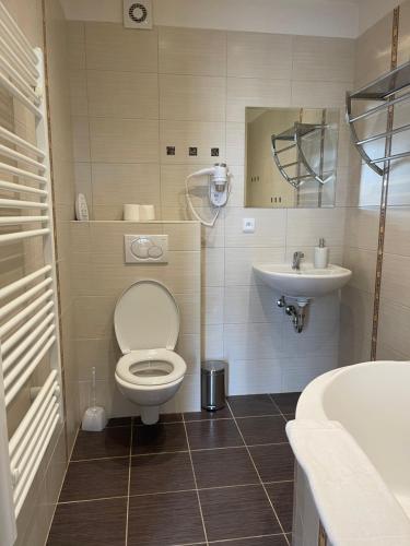 a bathroom with a toilet and a sink at Apartmány vila Týniště in Týniště nad Orlicí