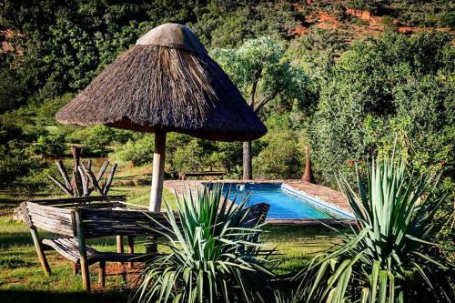 a umbrella and a bench next to a swimming pool at Addo Bush Palace in Addo