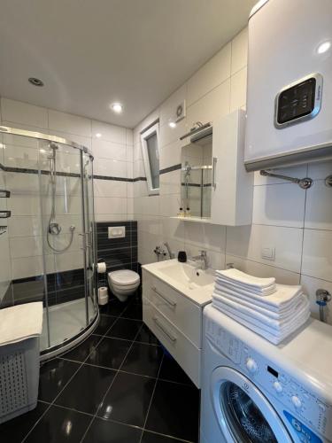 a bathroom with a washing machine and a shower at Family Lux Apartments - Lemon Garden and Pool in Becici