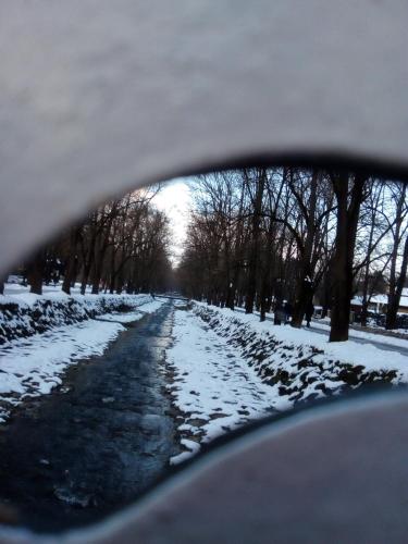 Malgo en invierno