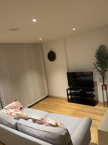 un soggiorno con divano e TV di Beautiful 2 bed Flat in Finchley Road, Camden a Londra