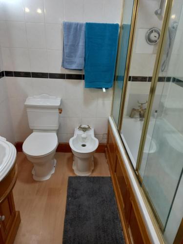 a bathroom with a toilet and a shower at Sandra in Streatham Vale