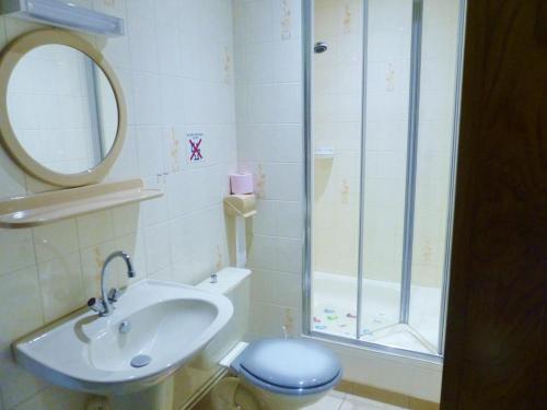 La salle de bains est pourvue d'un lavabo, de toilettes et d'une douche. dans l'établissement Gite de vieille maison rouge, à Rocroi